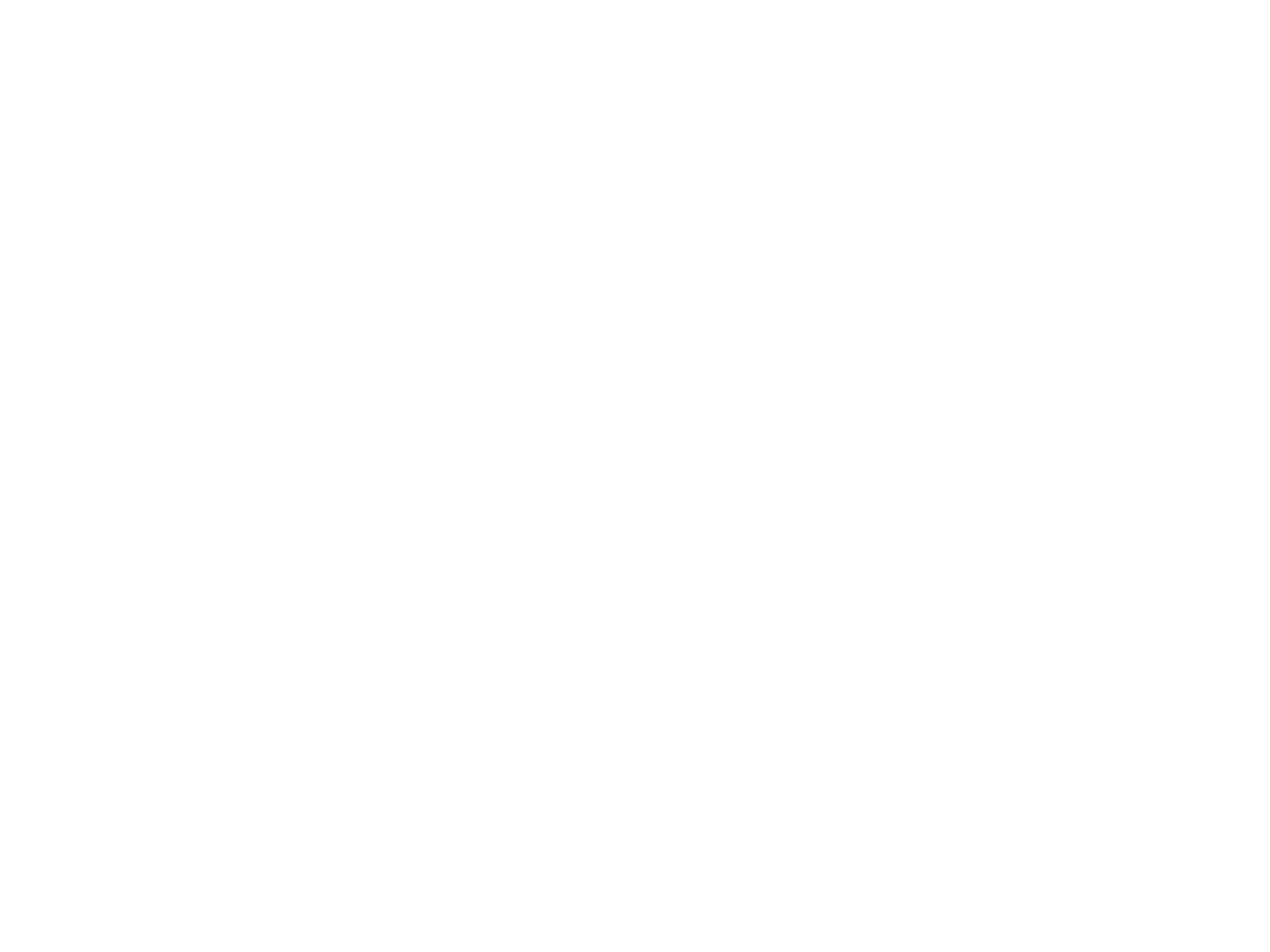 TOP Fires Academy